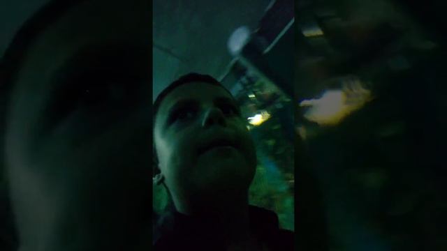 #галактика#океанариум#акватика смотреть онлайн