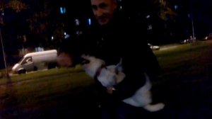 Дядя Бадя-ДЖЕК РАССЕЛ ТЕРЬЕР