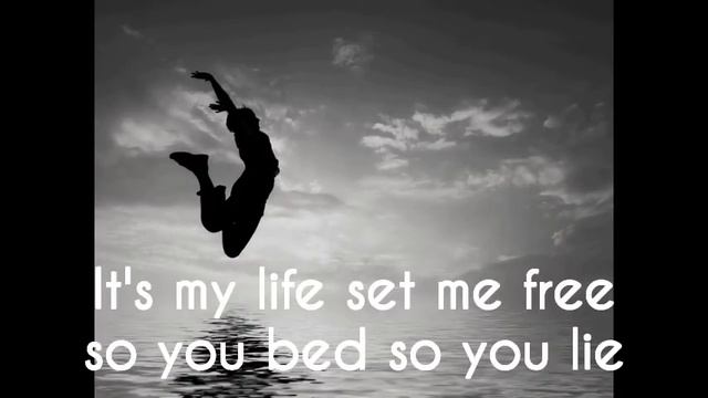 Dr Alban - Its my life Lyrics on screen смотреть онлайн