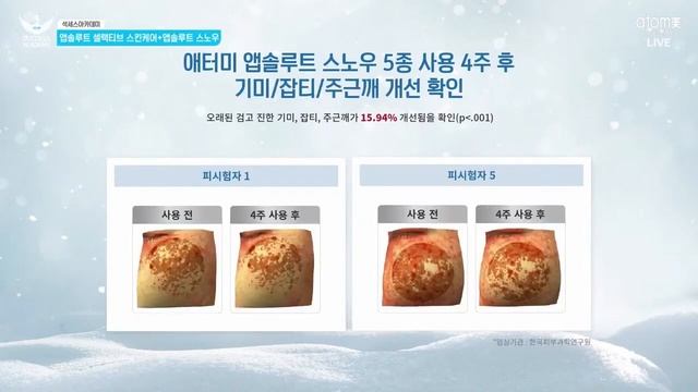 ОТБЕЛИВАНИЕ И СИЯНИЕ - ABSOLUTE SNOW