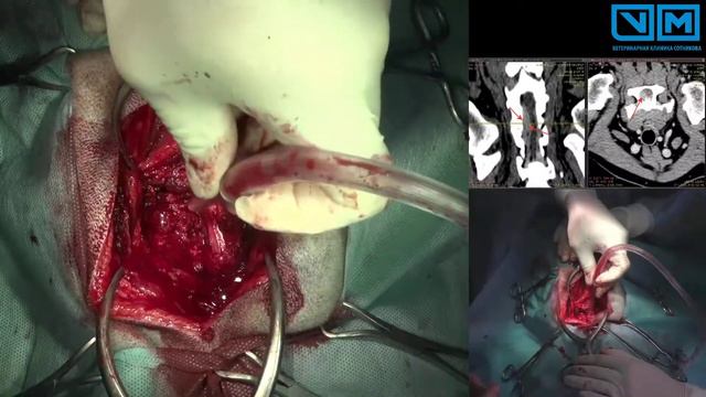 Интригующие интервью