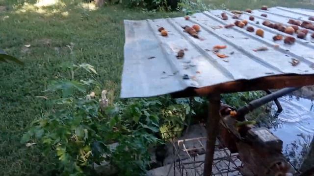 КАК СДЕЛАТЬ ГРУШУ ДЛЯ ПЕТУХА ЧАСТЬ 2 смотреть онлайн