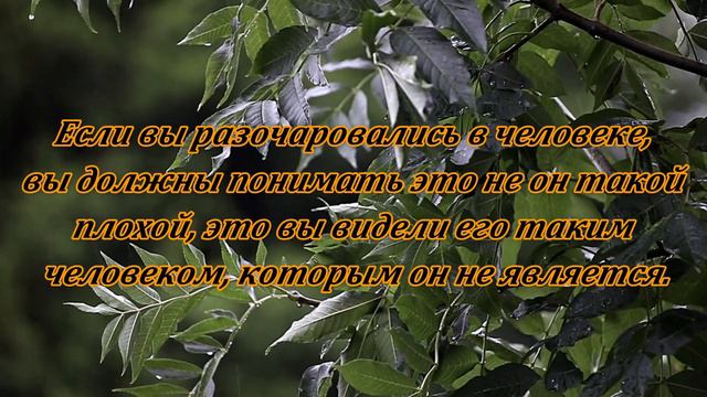 КРАСИВЫЕ ЦИТАТЫ СО СМЫСЛОМ '' МУДРЫЕ ЦИТАТЫ '' смотреть онлайн