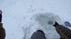 Рыбалка на ПОКАТОК, ПОСТАВушка на реке. Ловля ПЛОТВЫ со льда на течении.