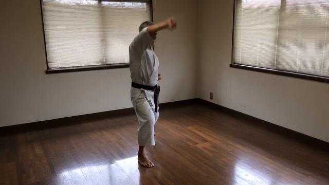 松濤館空手道の指導・稽古 18　Instruction And Training Of Shotokan Karate 　　Heian 1