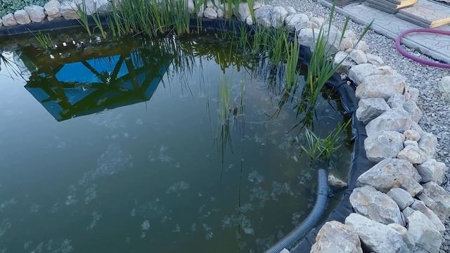 Препарат для очистки воды в пруду / Осторожно! Не помогло! / Зря потрачены деньги (Май 2020) смотреть онлайн