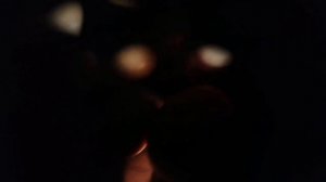 14 день инкубации куриных яиц