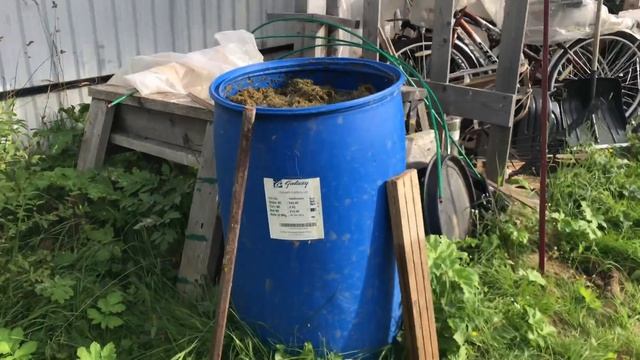 Азотное удобрение из травы своими руками для огурцов. Травяной настой смотреть онлайн