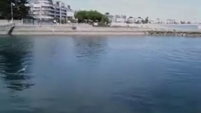 Ле-Пулиген, центр города, Атлантическая Луара, Франция/Loire, France. смотреть онлайн