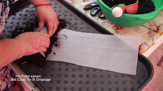 ВЕК ЖИВИ, ВЕК УЧИСЬ! Я В ВОСТОРГЕ! ЛУЧШАЯ УЛИТКА ДЛЯ РАССАДЫ В ДВА РАЗА БЫСТРЕЕ смотреть онлайн