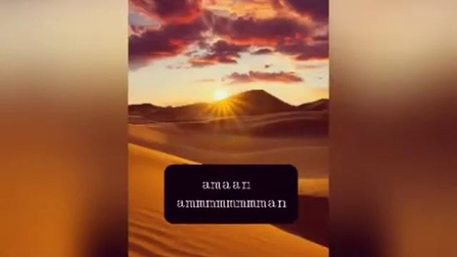 Desert Rose - Faouzla ( by sting fi Cheb mami ) Tik tok concert lyrics смотреть онлайн