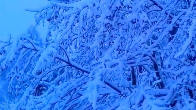 Зима в подарок смотреть онлайн