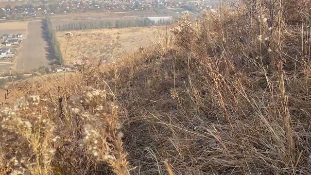 Восьмой день в Алматы: восхождение на холм, село Чимбулак Талгарского района. смотреть онлайн