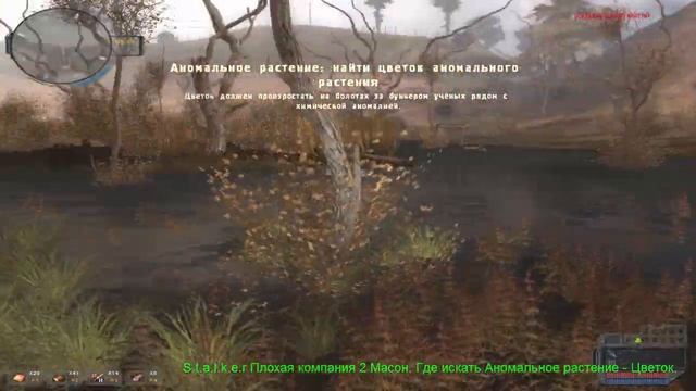 S.t.a.l.k.e.r Плохая компания 2 Масон. Где искать Аномальное растение - Цветок. смотреть онлайн