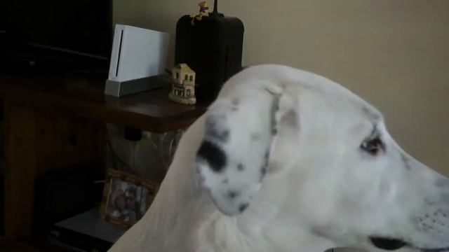 Panasonic HDC SD800 Full HD - video test смотреть онлайн