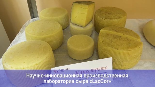 Научно-инновационная производственная лаборатория сыра «LacCor» в КрасГАУ смотреть онлайн