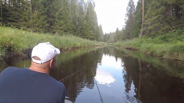Рыбалка на спиннинг. День целовальной щуки.15.08.2023. По Неленьге от Карповской до Печек. смотреть онлайн