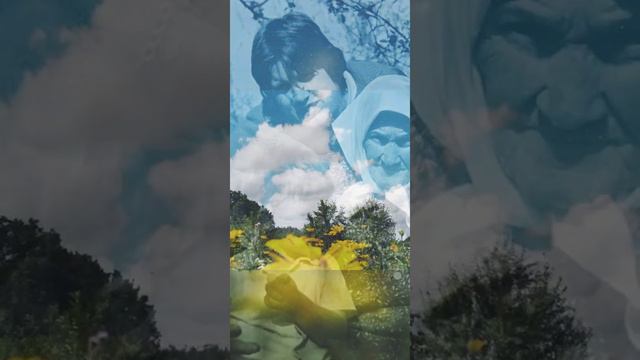 Тем кто уже ушёл, но которых всё ещё люблю