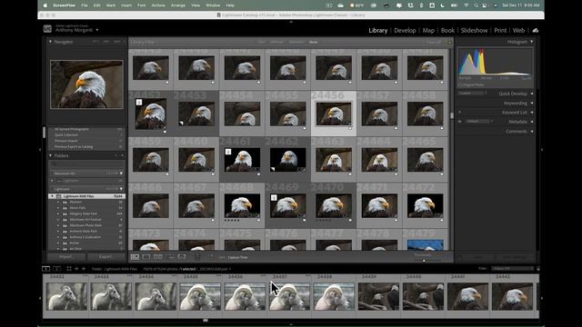 MacBook Pro M1 & Lightroom - FAST!