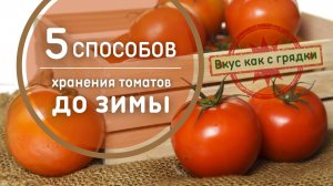 5 способов хранения томатов ? Остаются свежими и вкус как с грядки. Как сохранить помидоры