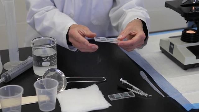 Why and how to do Sheep and Goat Fecal Egg Counting смотреть онлайн