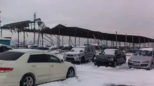 Авторынок бишкек 20.11.16(2) смотреть онлайн