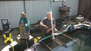 Пруд с осетрами и карпами. (Кристально чистая вода в пруду.)