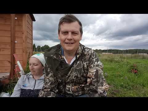 Коротко, о дачных новостях смотреть онлайн