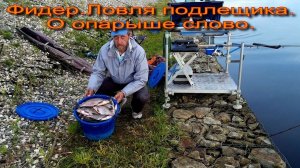 Ловля подлещика на фидер.Не много о топлёном опарыше.