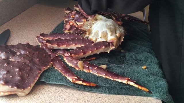 How to Steam Alaskan King Crab In Maine Part 1 смотреть онлайн