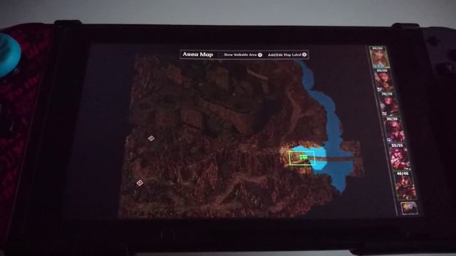 Baldur's Gate Nintendo Switch Handheld Mode.