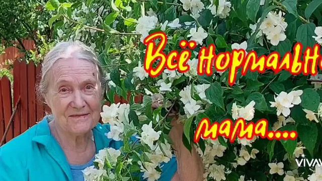 Не ругайте маму Никогда... смотреть онлайн