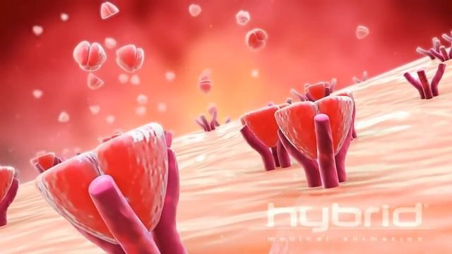 Запретные заклинания