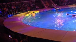 Цирк на воде