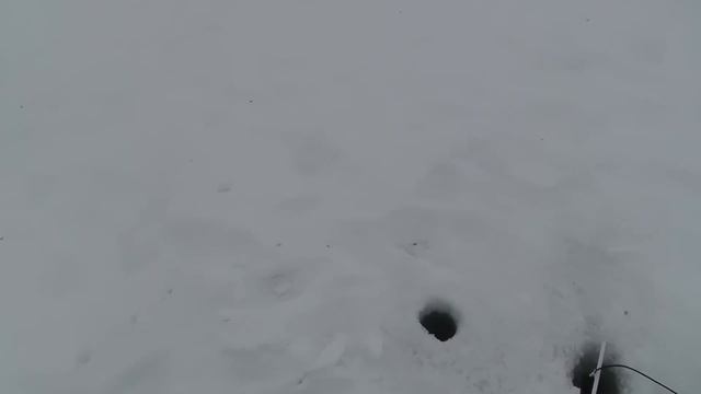 РЫБАЛКА НА ЖЕРЛИЦЫ. ЩУКА НА ЖИВЦА. ёрш,плотва и окунёк. смотреть онлайн