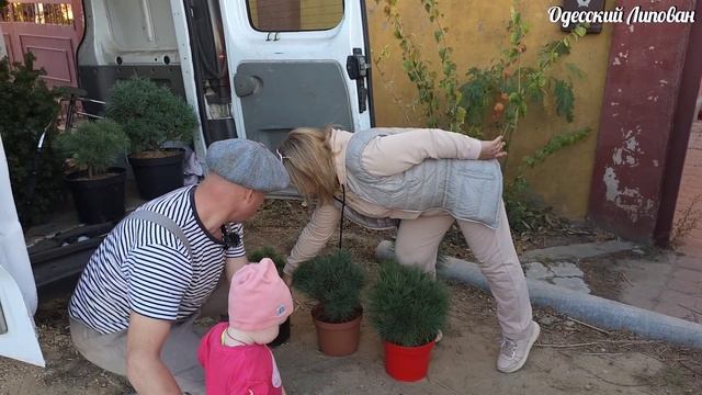 Лицо без морщин