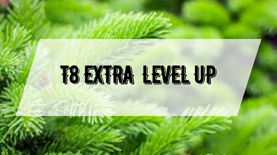 T8 EXTRA 90%  LEVEL UP Tрусов Владимир (разработчик с завода Сологифт)