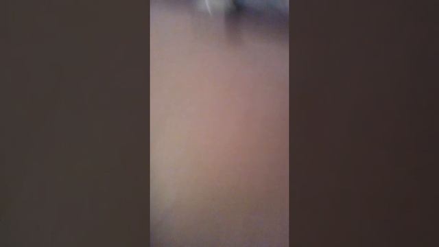 Что делать если у тебя сломалась мышка смотреть онлайн