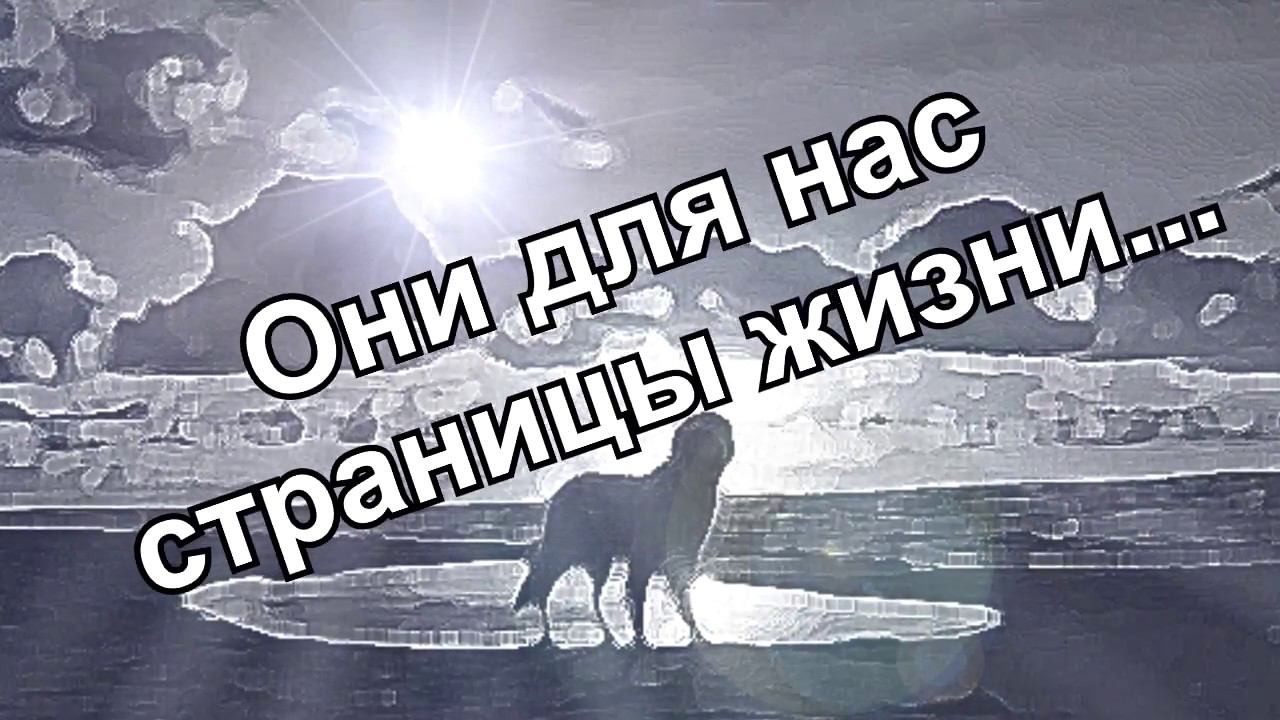 Перминова Лиза "Они для нас страницы жизни" смотреть онлайн