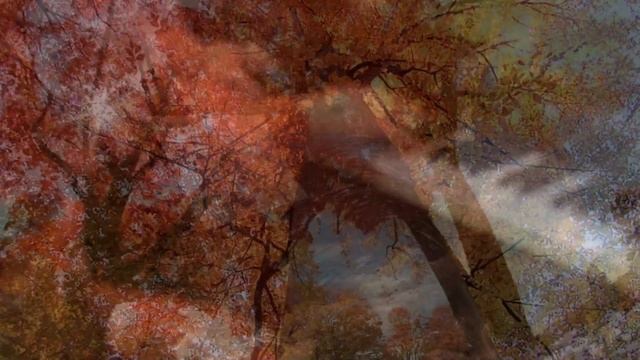 叙情小曲集 秋のスケッチ(ギロック)Gillock Autumn Sketch 横内愛弓pf:Ayumi Yokouchi смотреть онлайн