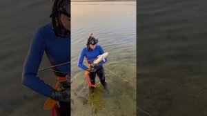 Активный отдых в Астраханской области на рыболовно-охотничьей базе «7 Жилка»