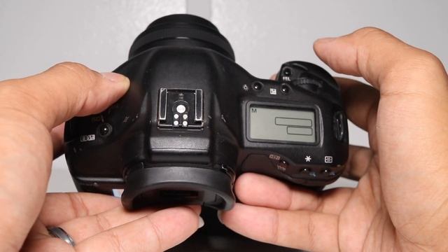 Canon EOS 1DS Mark II In 2018? Overview And Sample Images.