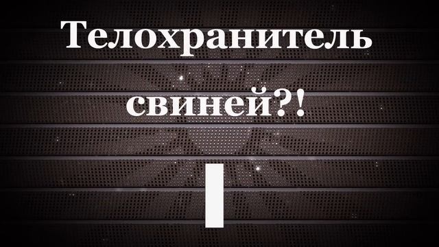 ЗАБАВНАЯ ХРЮСТОМАТИЯ Игры развлечения конкурсы на Новый год Свиньи 2019 смотреть онлайн