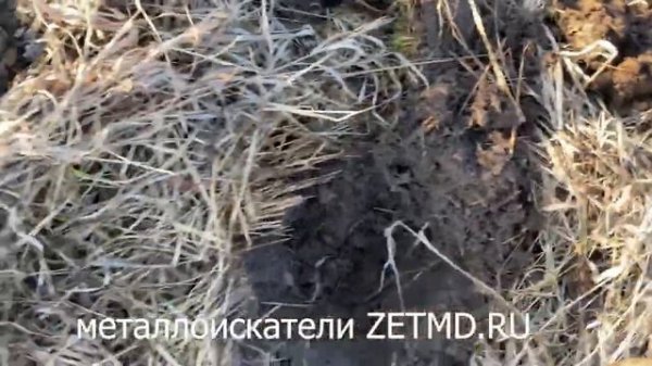 Отзыв металлоискатель ZETMD. https://www.zetmd.ru/