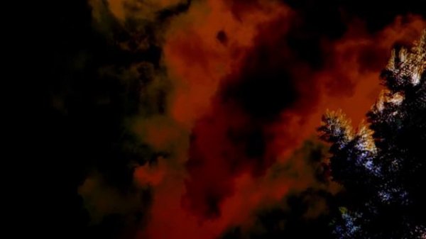 Max Richter: The Blue Notebooks (full Album)