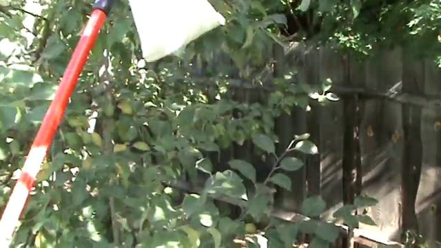 Плодосборник ручной, садовый.2 смотреть онлайн