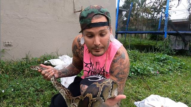 World Record Invasive Burmese Python caught in South Florida ! смотреть онлайн