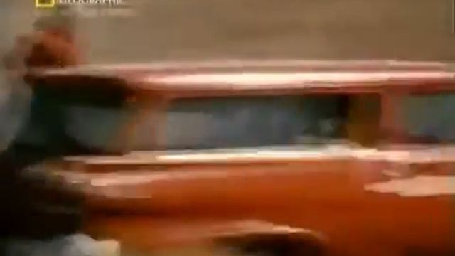 Жесть! Бешеный гризли! смотреть онлайн