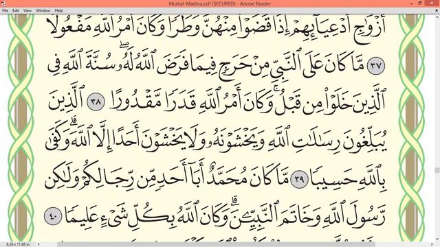 Practice reciting with correct tajweed - Page 423 (Surah Al-Ahzab) смотреть онлайн