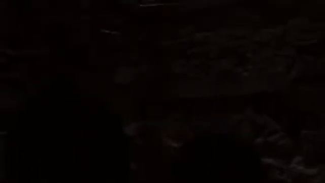 Мистический колодец Посвящения Quinta da Galeira смотреть онлайн